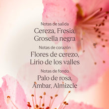 V3H9CB5457937ECC51AC57B189980A4D378R7592839P4