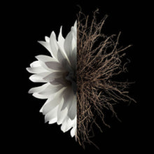 V4H4F6C68948B6ADA165E7B530CCE988CC6R6239565P3