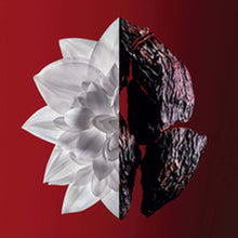 V5H387C84E14902E6D1A2A12F6EF2B47A13R5306329P3