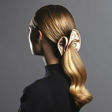 Glavnik za razčesavanje las Sisley Hair Rituel Črna - Shopper.si