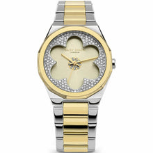 Ura ženska Daisy Dixon DD168SGM (Ø 36 mm) - Shopper.si