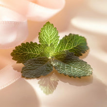 V3H78FDF58B04A23070DB23DD9D0BC1827FR7415529P4