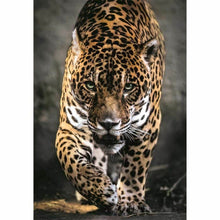 Sestavljanka Puzzle Clementoni 1000 Kosi - Shopper.si