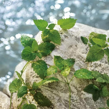 V4H6ED753EBA438E6D84501FD1AC40701D4R7528043P9