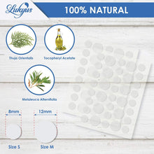 V3H52DFB4161D96FCED61B5548D481900DAR7476953P8