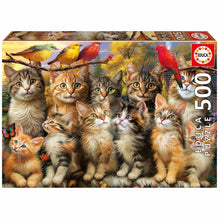 Sestavljanka Puzzle Educa Gatitos y Pájaros 500 Kosi - Shopper.si