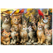 Sestavljanka Puzzle Educa Gatitos y Pájaros 500 Kosi - Shopper.si