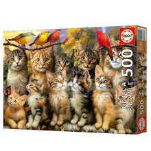 Sestavljanka Puzzle Educa Gatitos y Pájaros 500 Kosi - Shopper.si