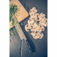 V6HFB7D276BC7E278BDC9AD003688689E52R6891924P2