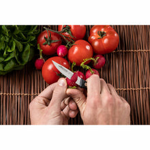 V5H12DBE434B55288953961553F8AF88050R6256498P6