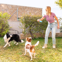 V13HDACA7DD34AD2CBC8F5D16709E23D1975R5279728P4