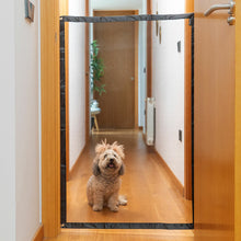 V10H768D201FF251721D4AE34C7588E09029R5262101P6