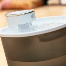 Fontana za mačke s senzorjem Refopet InnovaGoods - Shopper.si
