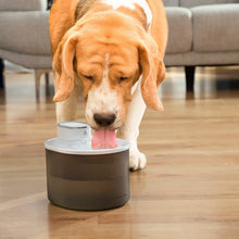 Fontana za mačke s senzorjem Refopet InnovaGoods - Shopper.si