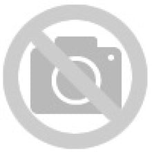 V13HA31BEC60CFA5862EF5C9F61327B9A641R6369972P2