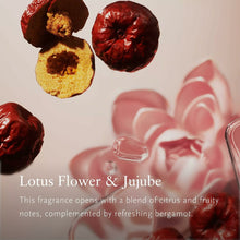 V4H87F311D7D75622BB00B63BC17DA05E58R6240921P4