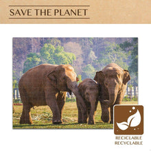 Sestavljanka Puzzle Colorbaby Elephant 500 Kosi 6 kosov 61 x 46 x 0,1 cm - Shopper.si