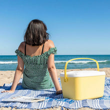 Prenosna hladilna skrinja Lilty InnovaGoods 15 L - Shopper.si